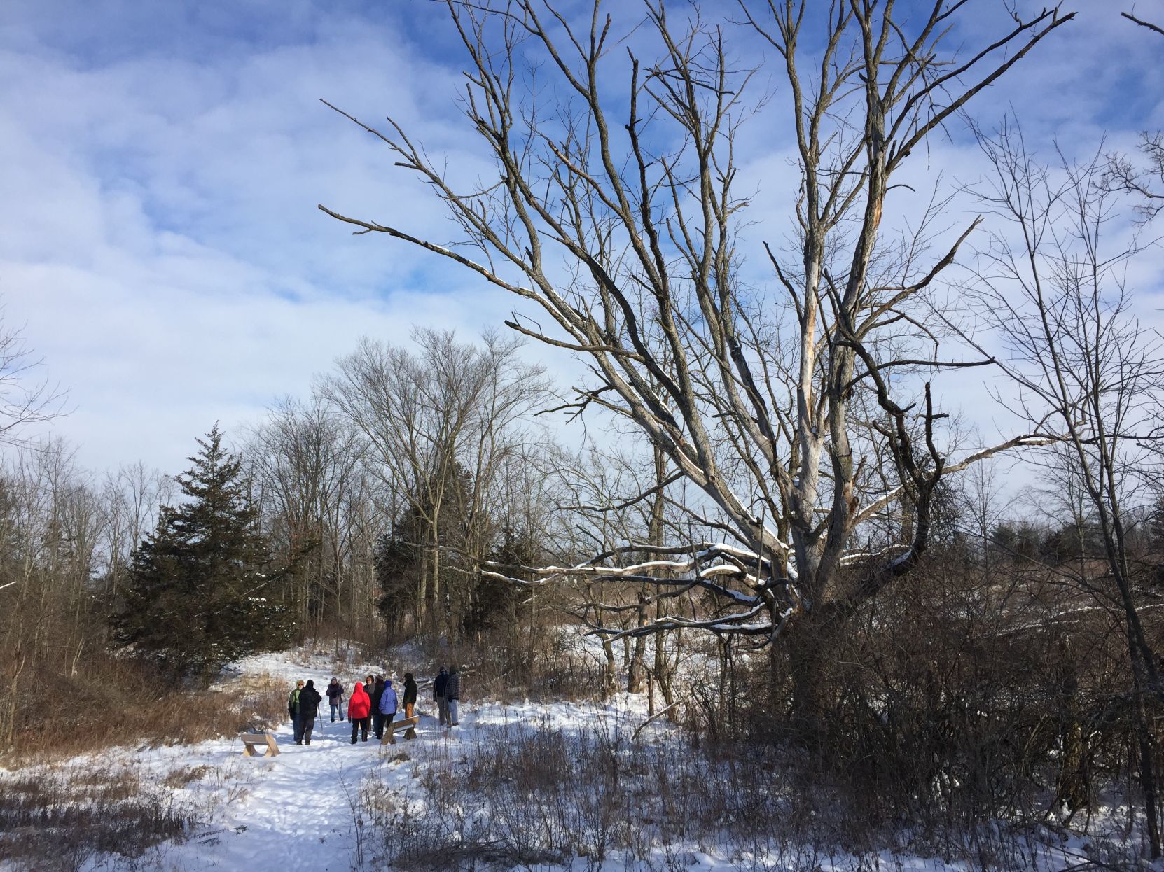Winter hike
